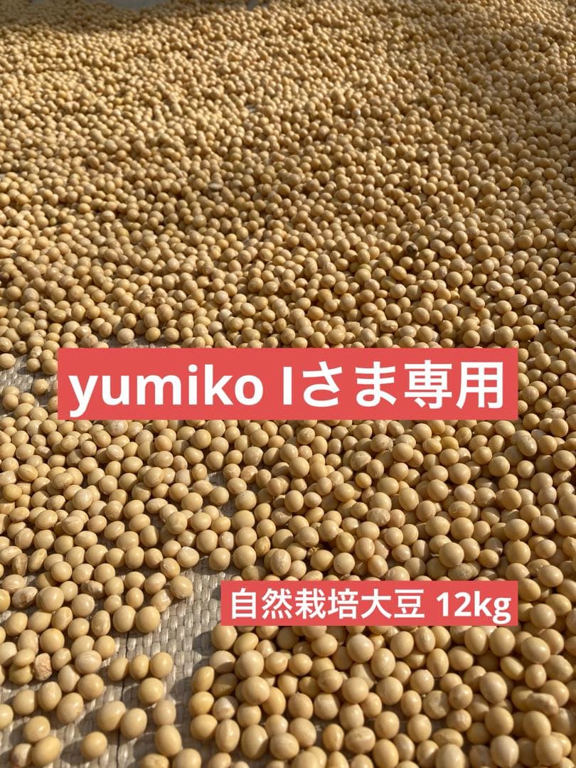 【 yumiko Iさま専用 】大豆 12kg