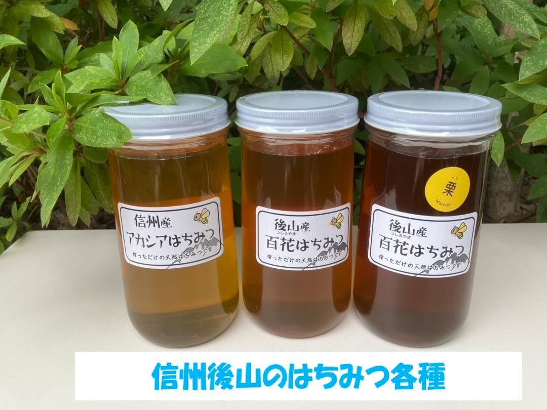アカシア蜂蜜 1000g 2本 国産蜂蜜 生蜂蜜 セイヨウミツバチ はちみつ