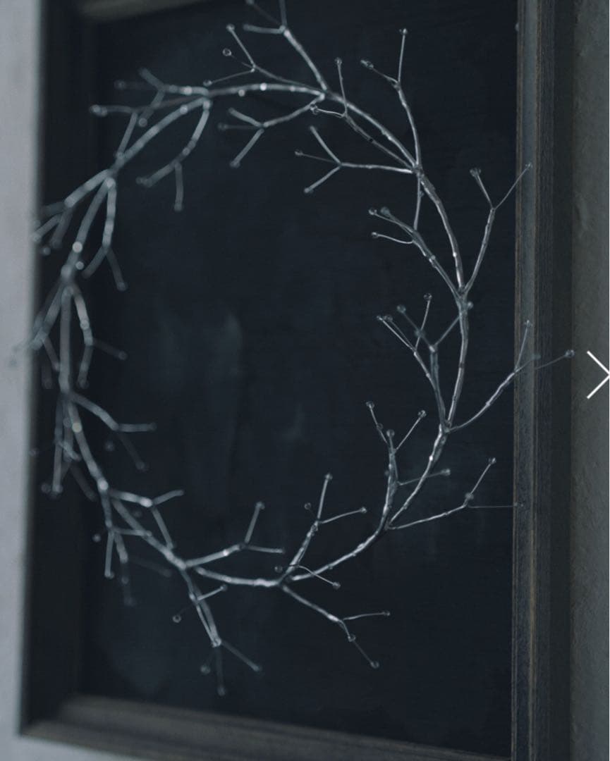 インスタ作家 mone morigaki 壁掛けフレーム bloom ／シルバー