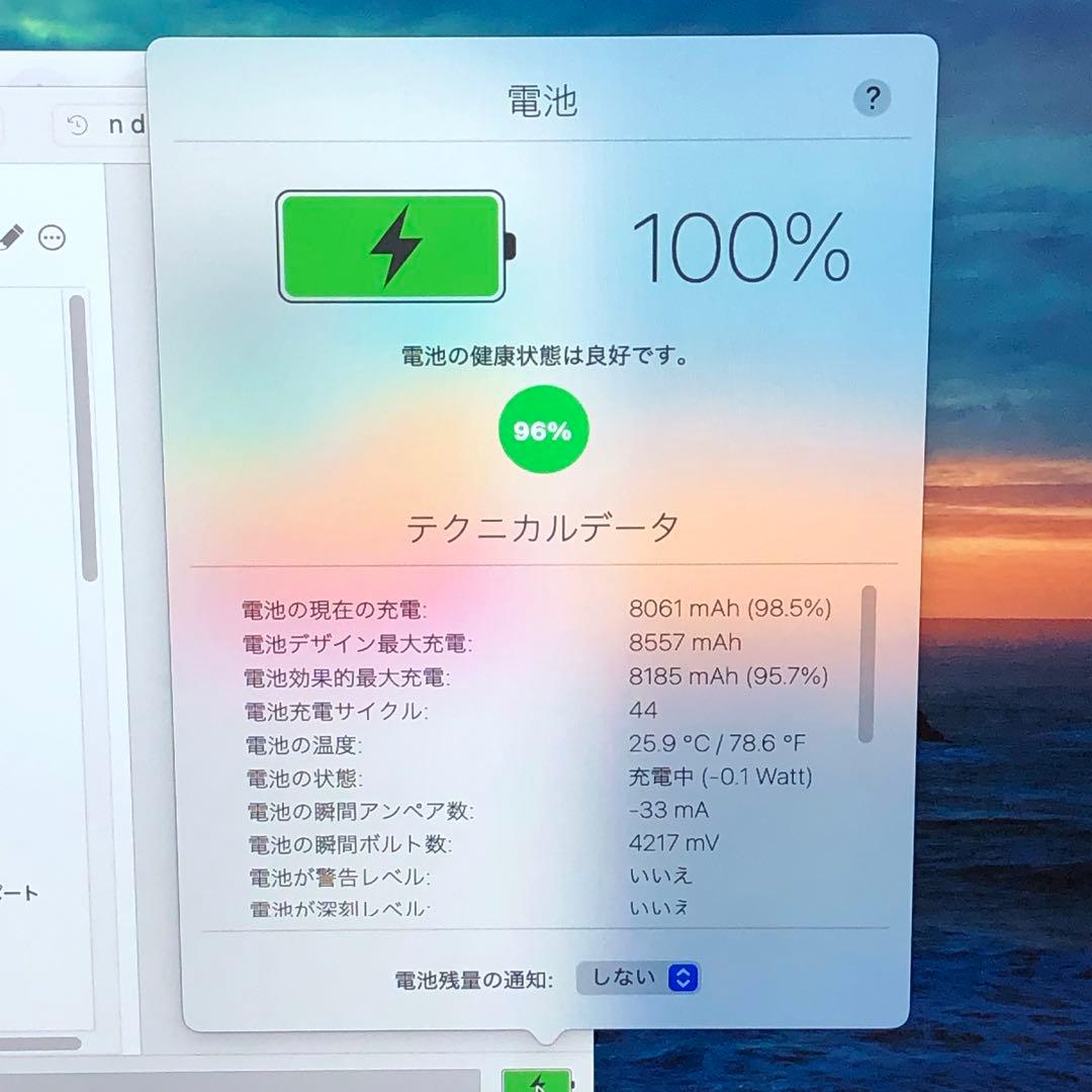 良品 iPad 第8世代 32GB wifiモデル　管理番号：359