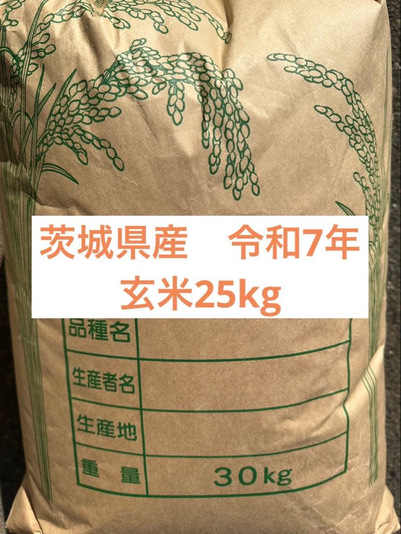 玄米　約25kg お米　最安値　米　限定　ご飯　米　令和7年　茨城県産