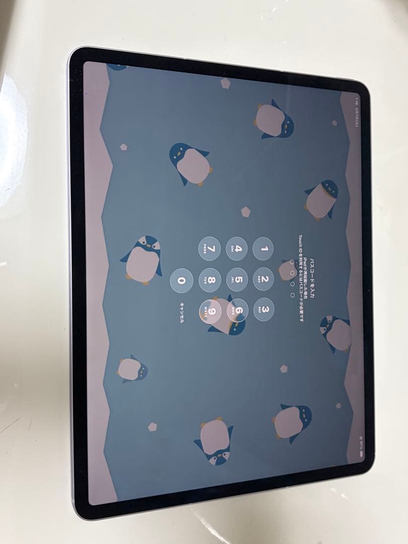 iPad Air 13インチ (M3) 128GB Cellular　2025