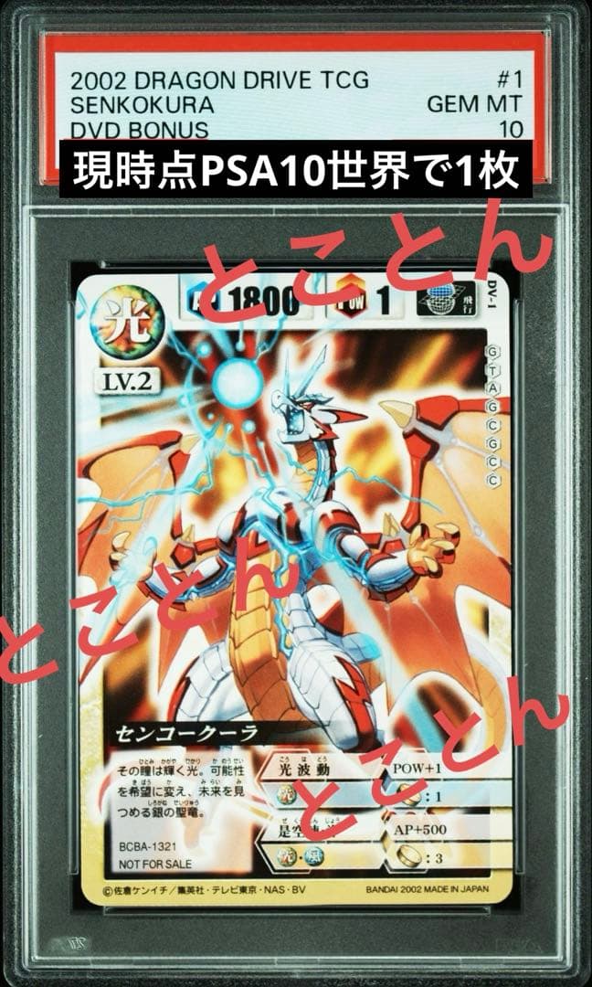 センコークーラDVDプロモPSA10