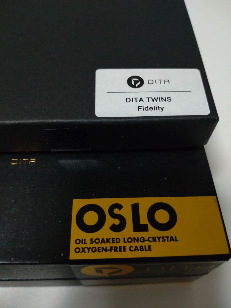 イヤホン DITA TWINS Fidelity