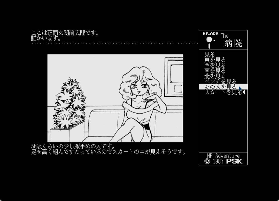 PSK作品『ザ・病院 PRO-68K』 X68000版（２本セット）