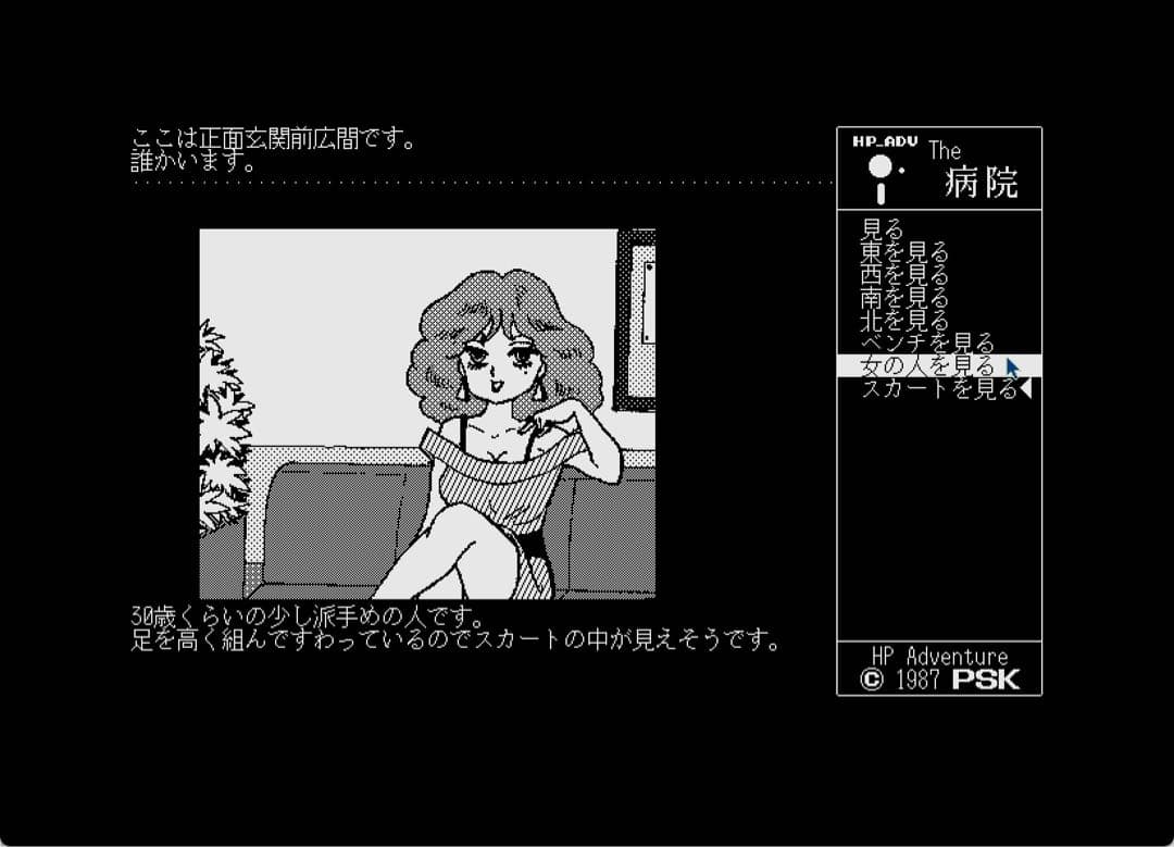 PSK作品『ザ・病院 PRO-68K』 X68000版（２本セット）
