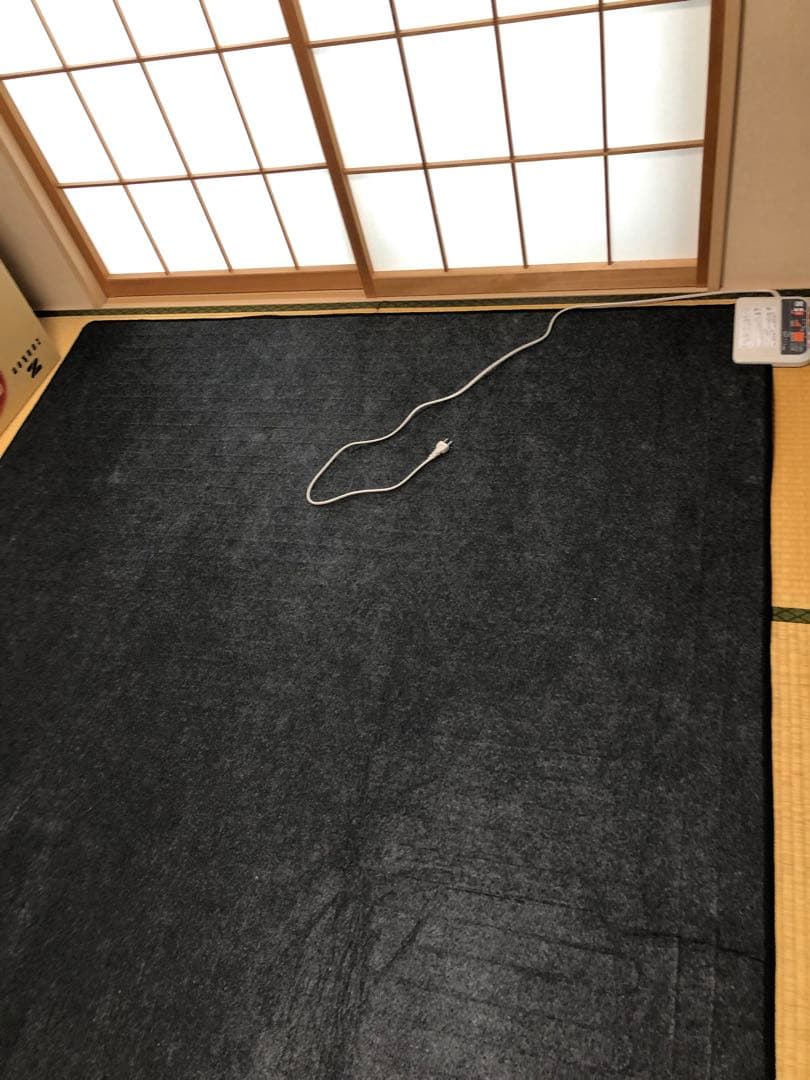 ゼンケン 電気ホットカーペット ZCB-20P(2畳相当) 電磁波99%カット