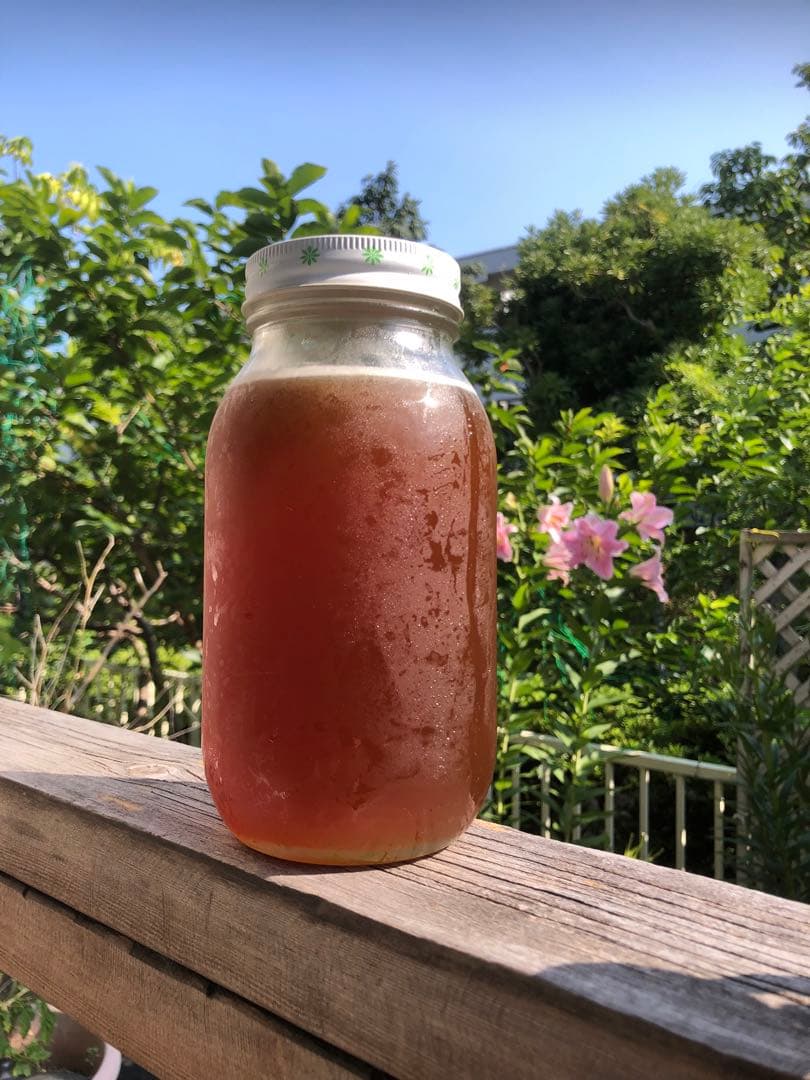 日本ミツバチの百花蜜　1キロ