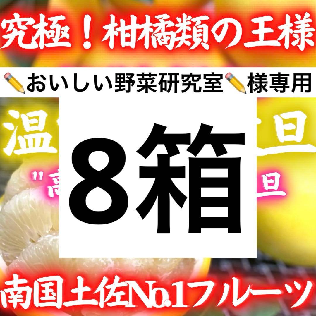 2高知特産 温室土佐文旦 ハウス 土佐文旦 文旦 3kg×8箱