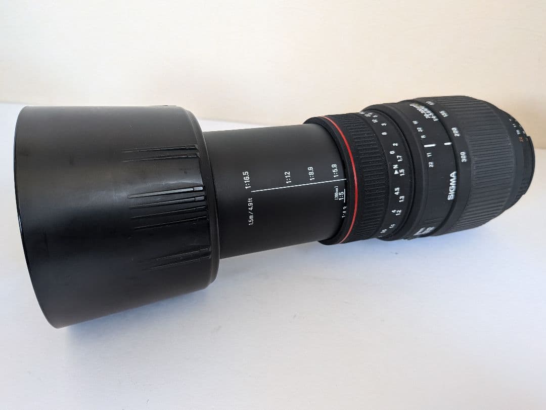 SIGMA 70-300mm F4-5.6 DG MACRO ズームレンズ
