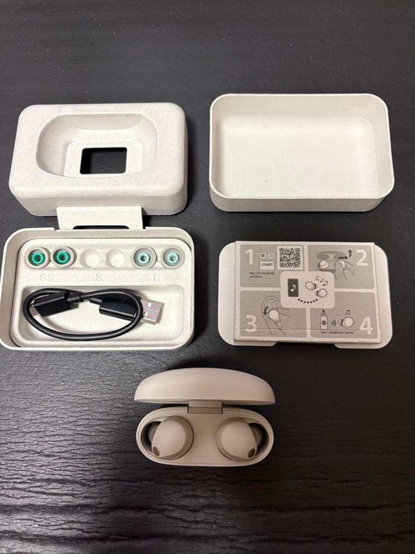 SONY ワイヤレスイヤホン 充電ケース付き WF-1000XM5