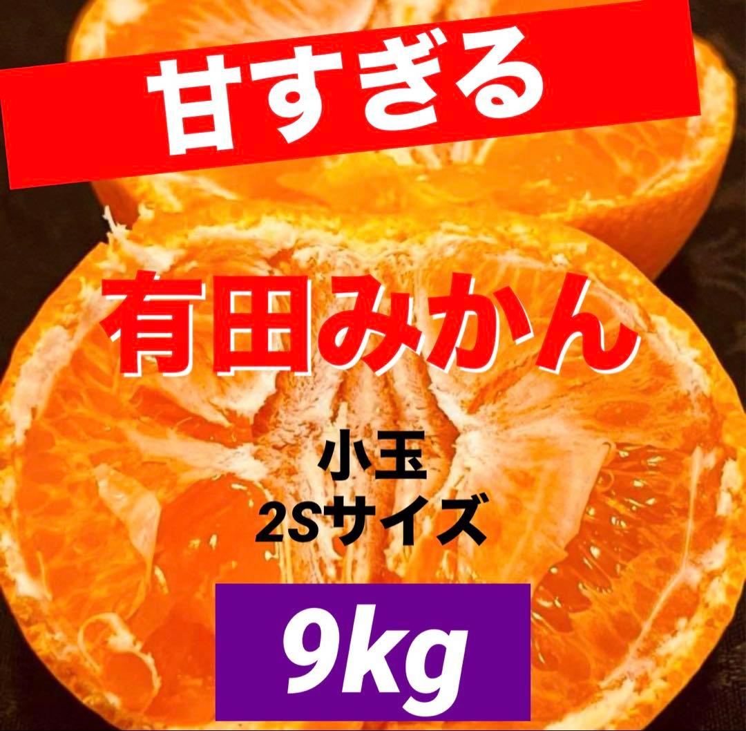 23)数量限定　甘すぎる　有田みかん　果物 　みかん　小玉　旬