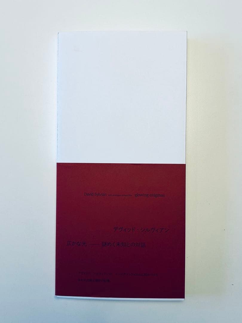 デヴィッド・シルヴィアン　ポラロイド写真集