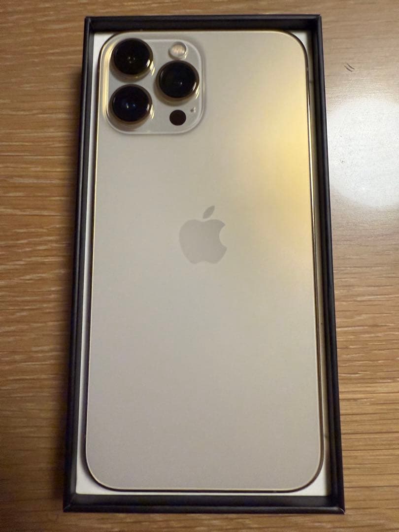 101_keychain 様用　iPhone13 Pro MAX