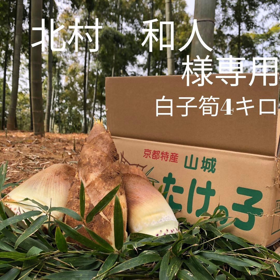 北村 和人 白子筍 10キロ