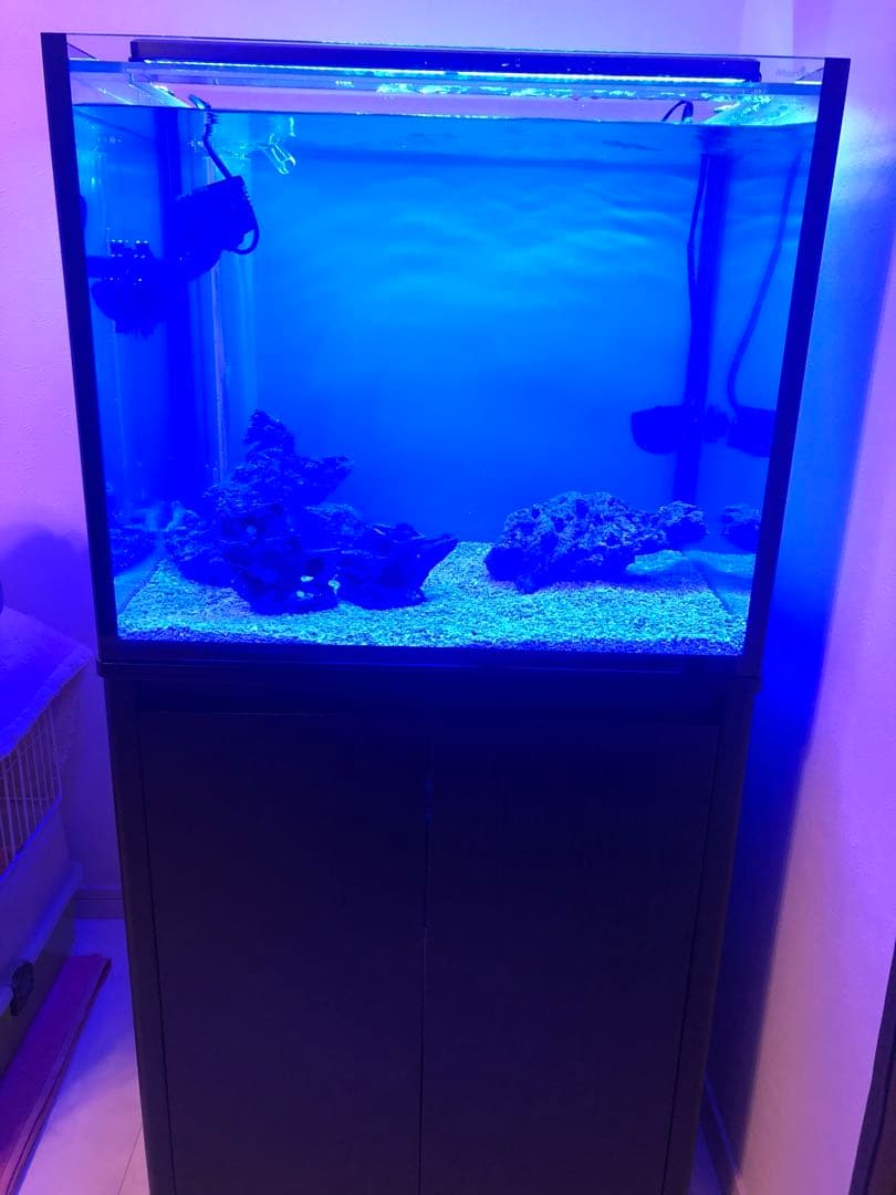 オーバーフロー水槽 60cm ワイド