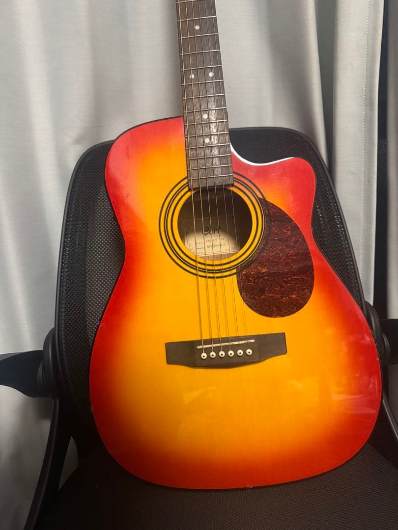 エレアコ（カポ付き）