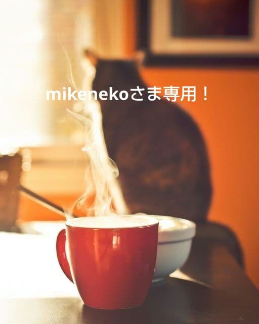 mikenekoさま専用！！