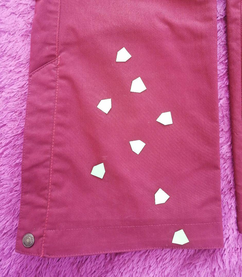 【♡︎】レディース S スノーボード スキー ウェア 上下 フェニックス